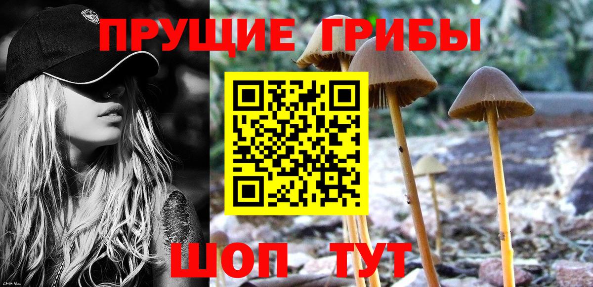 Галлюциногенные грибы Magic Shrooms Соль-Илецк