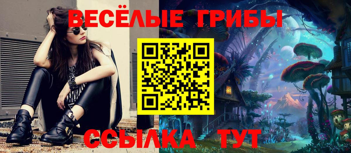Соль-Илецк  Галлюциногенные грибы MAGIC MUSHROOMS  сколько стоит  Вход с VPN 